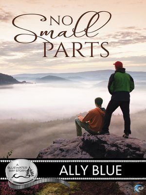 cover image of No Small Parts